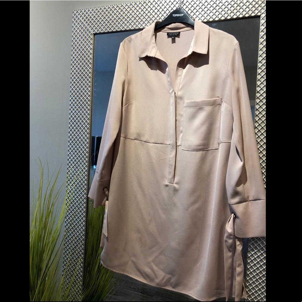 Topshop Blush Pink Collared Shift Dress